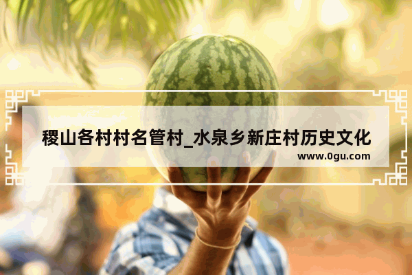 稷山各村村名管村_水泉乡新庄村历史文化