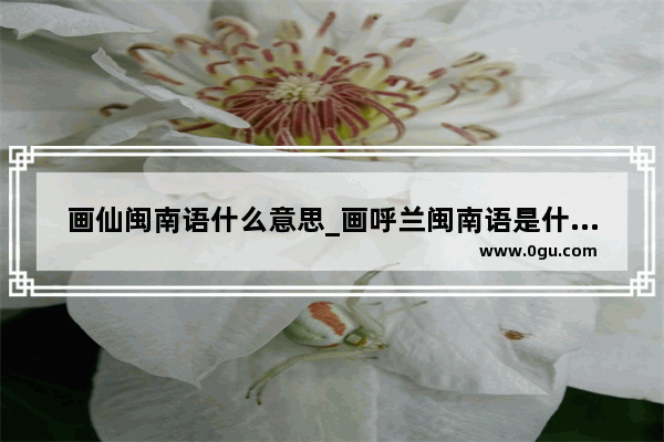 画仙闽南语什么意思_画呼兰闽南语是什么意思