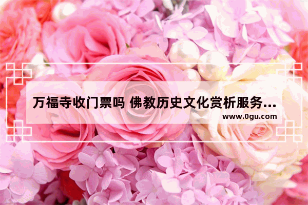 万福寺收门票吗 佛教历史文化赏析服务方案