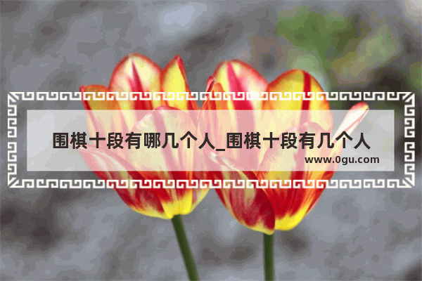 围棋十段有哪几个人_围棋十段有几个人