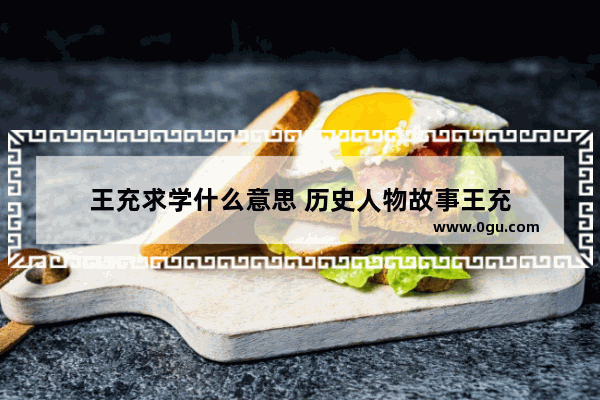王充求学什么意思 历史人物故事王充