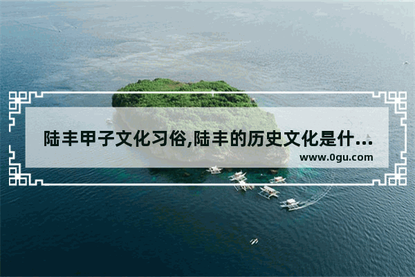 陆丰甲子文化习俗,陆丰的历史文化是什么文化