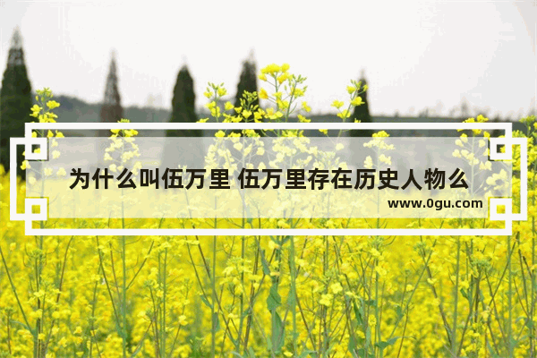 为什么叫伍万里 伍万里存在历史人物么