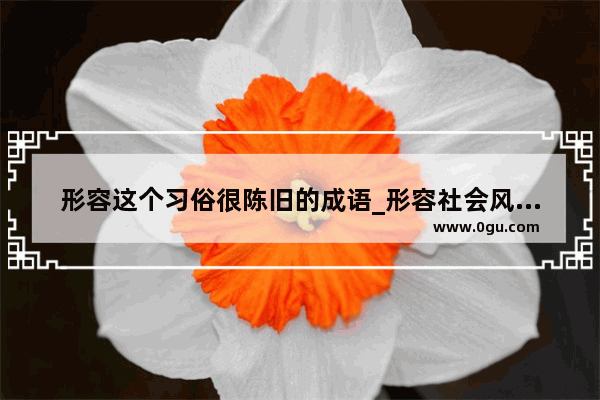 形容这个习俗很陈旧的成语_形容社会风气不好的词语