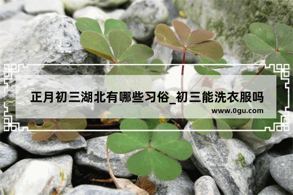 正月初三湖北有哪些习俗_初三能洗衣服吗