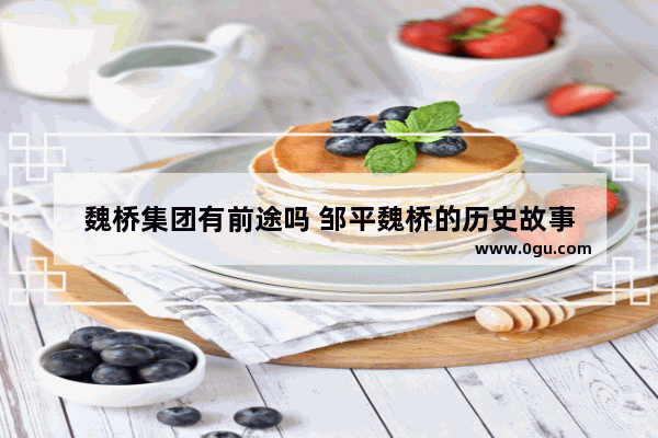 魏桥集团有前途吗 邹平魏桥的历史故事