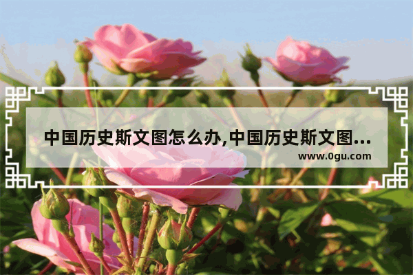 中国历史斯文图怎么办,中国历史斯文图怎么办