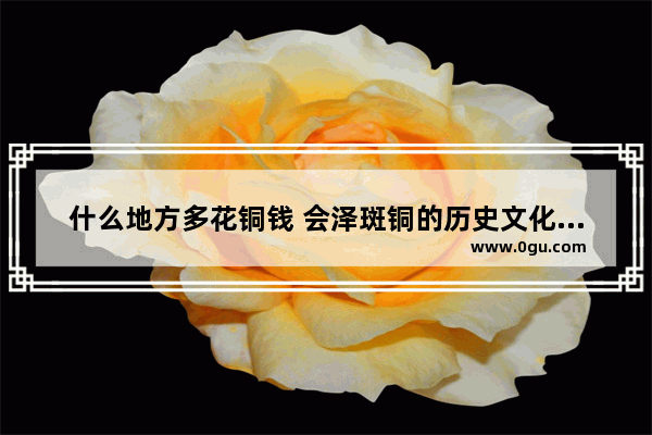 什么地方多花铜钱 会泽斑铜的历史文化价值