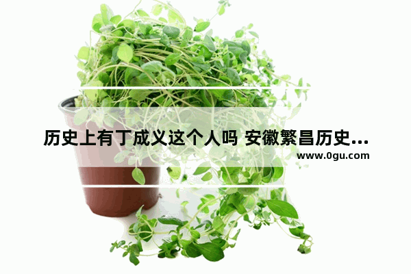 历史上有丁成义这个人吗 安徽繁昌历史人物