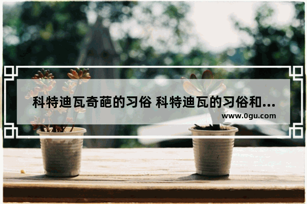 科特迪瓦奇葩的习俗 科特迪瓦的习俗和禁忌