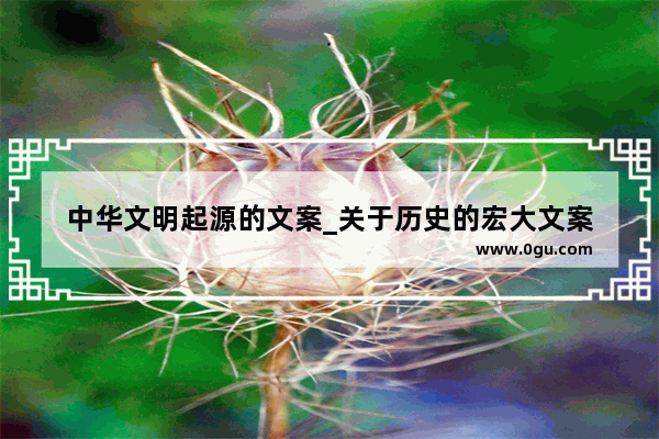 中华文明起源的文案_关于历史的宏大文案