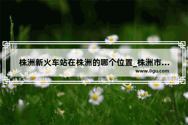 株洲新火车站在株洲的哪个位置_株洲市的初中排名榜