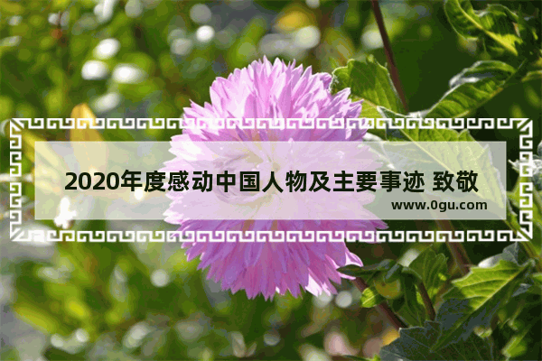 2020年度感动中国人物及主要事迹 致敬历史文物故事