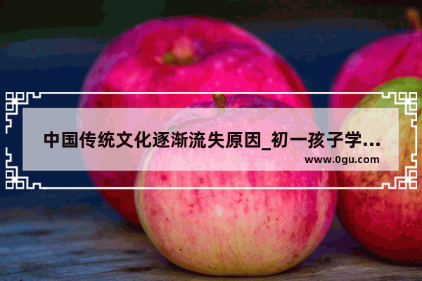 中国传统文化逐渐流失原因_初一孩子学不好史地政生怎么办