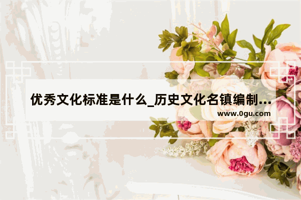 优秀文化标准是什么_历史文化名镇编制审批程序