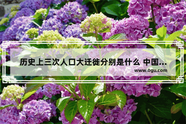 历史上三次人口大迁徙分别是什么 中国历史上的大++