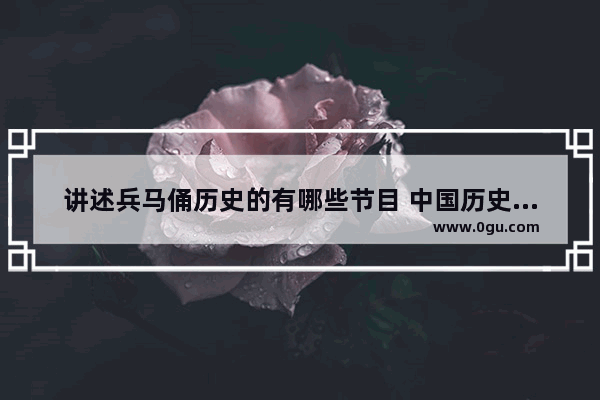 讲述兵马俑历史的有哪些节目 中国历史文物节目有哪些