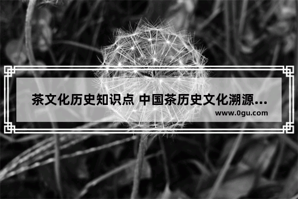 茶文化历史知识点 中国茶历史文化溯源论文