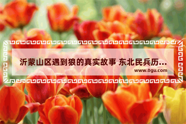 沂蒙山区遇到狼的真实故事 东北民兵历史故事