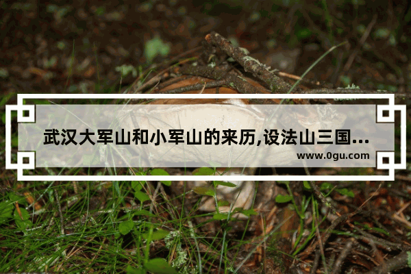 武汉大军山和小军山的来历,设法山三国历史文化