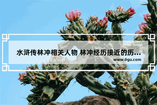 水浒传林冲相关人物 林冲经历接近的历史人物