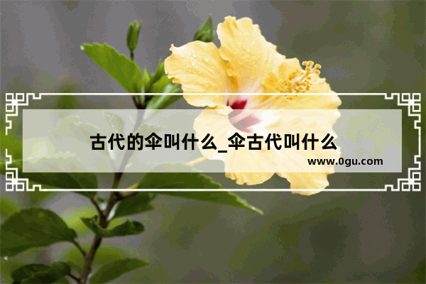 古代的伞叫什么_伞古代叫什么