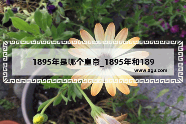 1895年是哪个皇帝_1895年和1898年发生什么重大事件