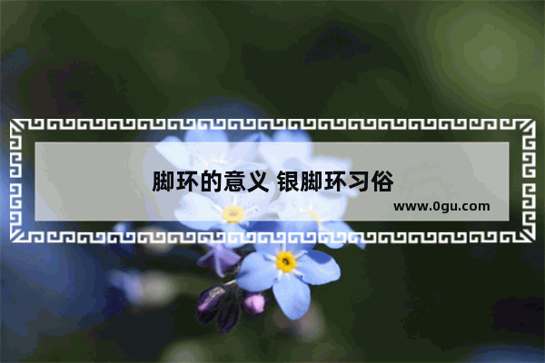 脚环的意义 银脚环习俗