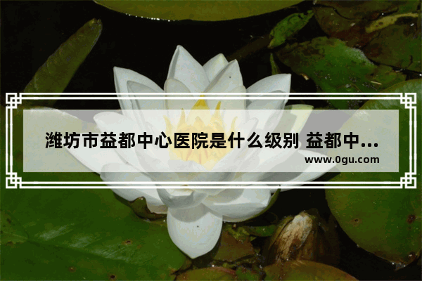 潍坊市益都中心医院是什么级别 益都中心医院的历史文化