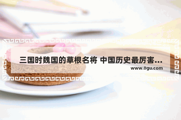三国时魏国的草根名将 中国历史最厉害的草根人