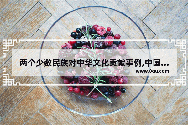 两个少数民族对中华文化贡献事例,中国历史上的文化故事