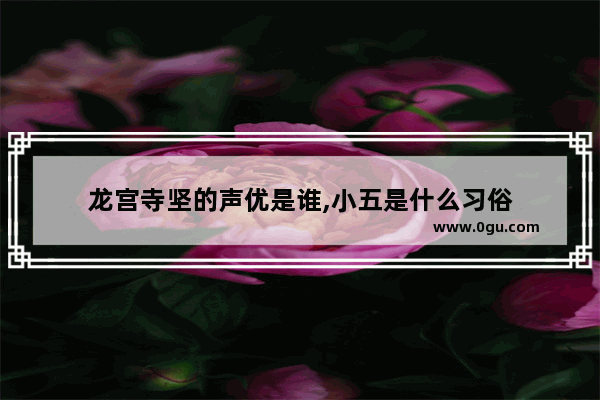 龙宫寺坚的声优是谁,小五是什么习俗
