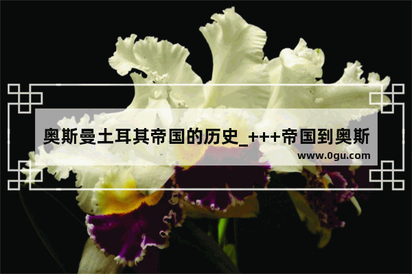 奥斯曼土耳其帝国的历史_+++帝国到奥斯曼土耳其帝国之间的政权演变