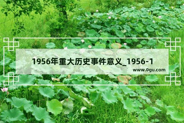 1956年重大历史事件意义_1956-1966重大历史事件