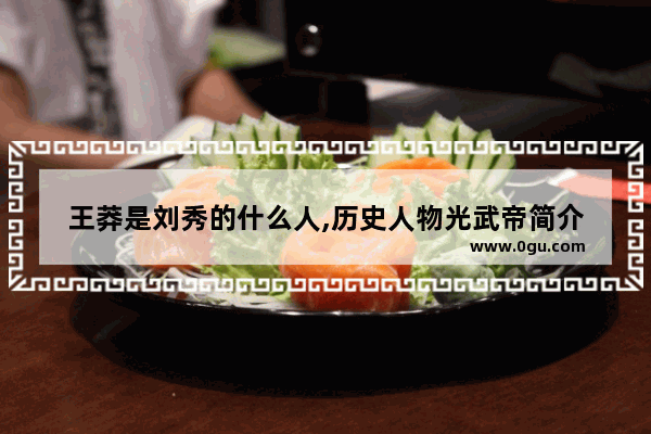 王莽是刘秀的什么人,历史人物光武帝简介