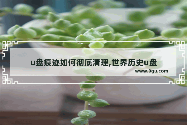 u盘痕迹如何彻底清理,世界历史u盘
