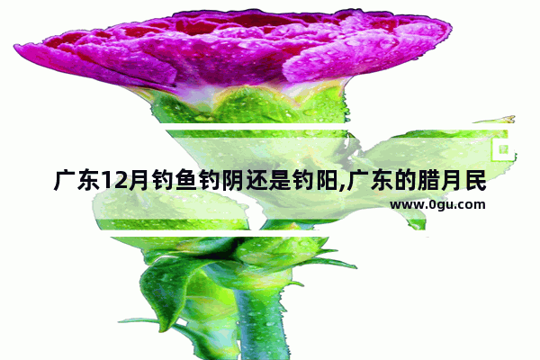 广东12月钓鱼钓阴还是钓阳,广东的腊月民间习俗