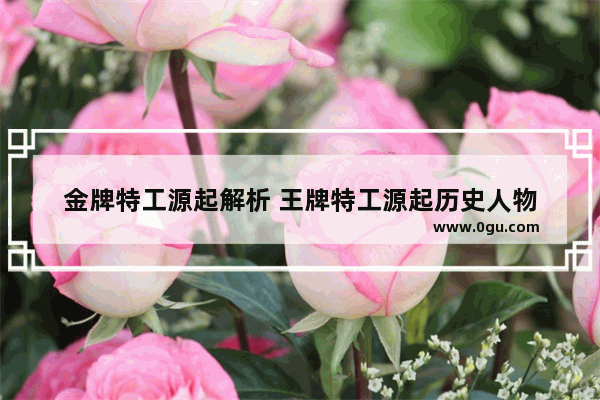 金牌特工源起解析 王牌特工源起历史人物