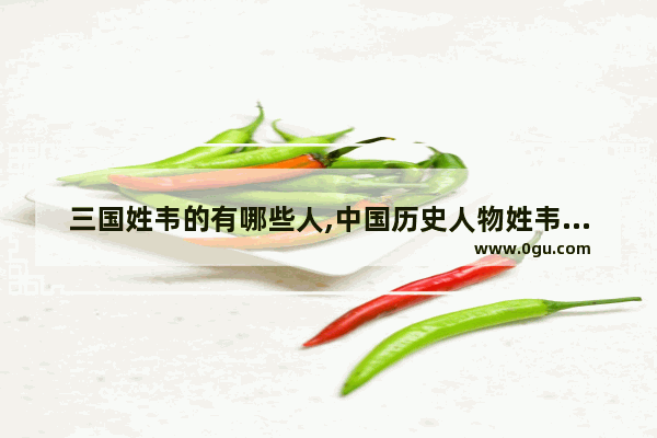 三国姓韦的有哪些人,中国历史人物姓韦的人