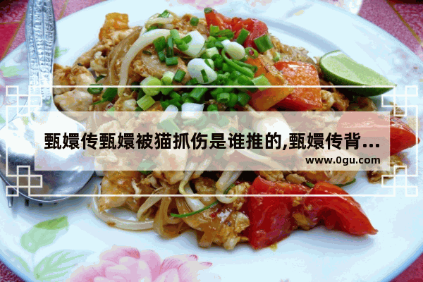 甄嬛传甄嬛被猫抓伤是谁推的,甄嬛传背后历史故事