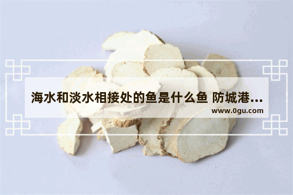 海水和淡水相接处的鱼是什么鱼 防城港冬至习俗