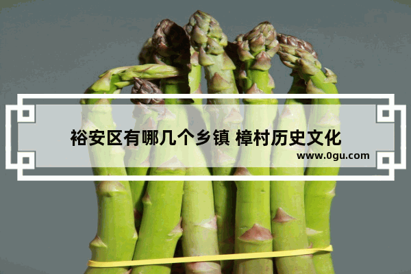 裕安区有哪几个乡镇 樟村历史文化
