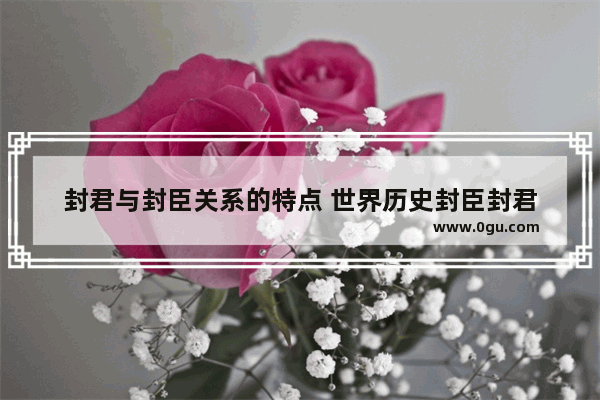 封君与封臣关系的特点 世界历史封臣封君