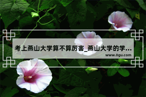 考上燕山大学算不算厉害_燕山大学的学历含金量高吗