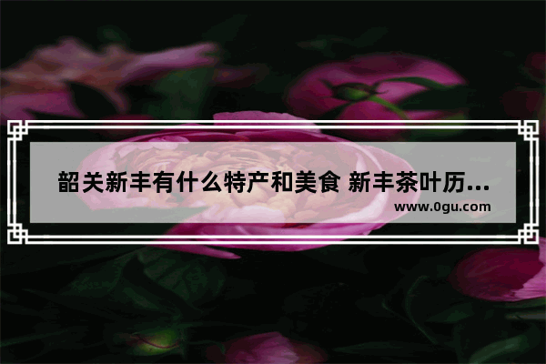 韶关新丰有什么特产和美食 新丰茶叶历史文化