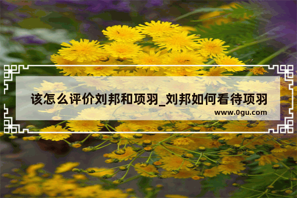 该怎么评价刘邦和项羽_刘邦如何看待项羽