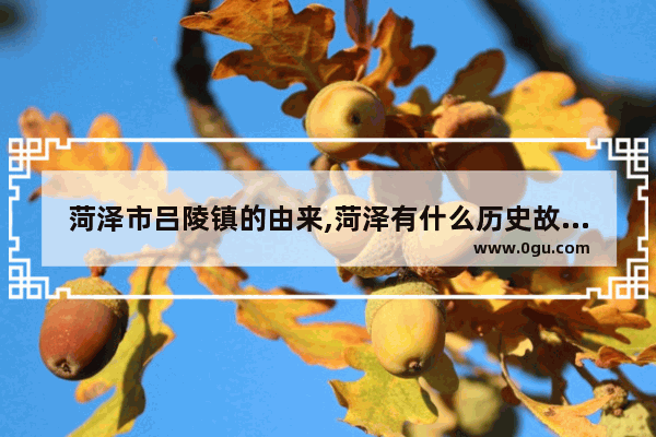 菏泽市吕陵镇的由来,菏泽有什么历史故事名称