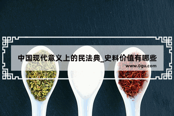 中国现代意义上的民法典_史料价值有哪些