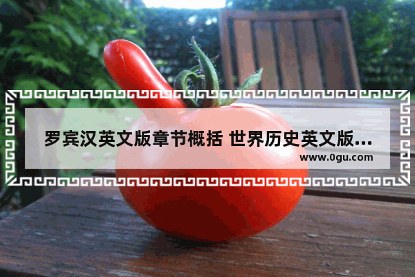 罗宾汉英文版章节概括 世界历史英文版讲解大全