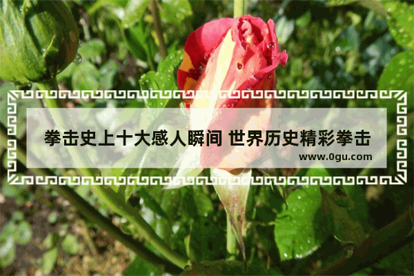 拳击史上十大感人瞬间 世界历史精彩拳击